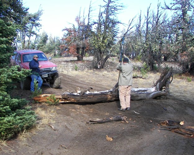 Photos: EWOR Divide Ridge Trails Maintenance 8