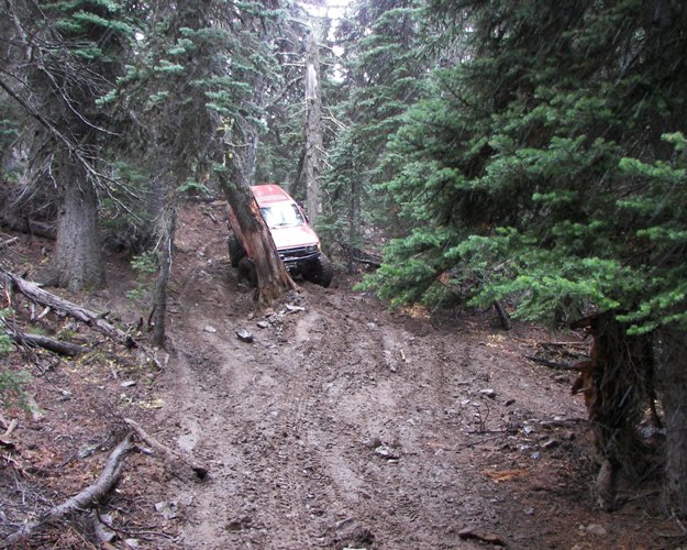 Photos: EWOR Divide Ridge Trails Maintenance 16