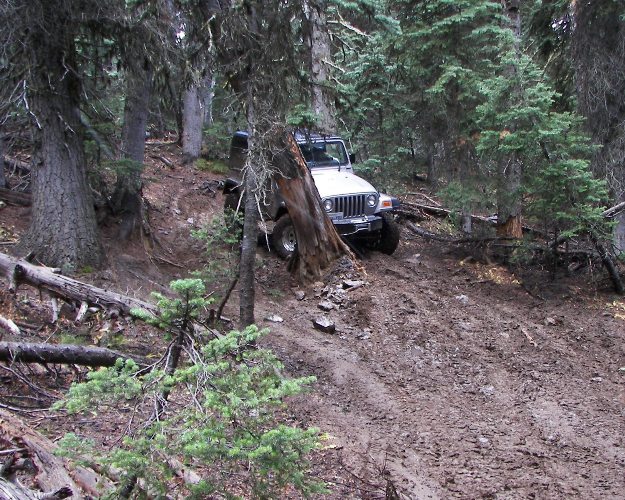 Photos: EWOR Divide Ridge Trails Maintenance 19