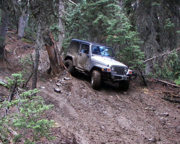 Photos: EWOR Divide Ridge Trails Maintenance 20