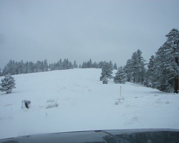 PHOTOS > EWOR: Sledding 4x4 Run at the Ahtanum State Forest 6