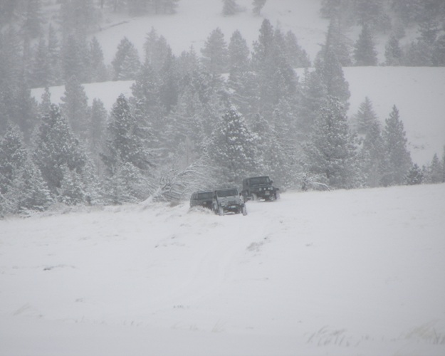 PHOTOS > EWOR: Sledding 4x4 Run at the Ahtanum State Forest 10