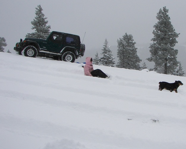 PHOTOS > EWOR: Sledding 4x4 Run at the Ahtanum State Forest 22