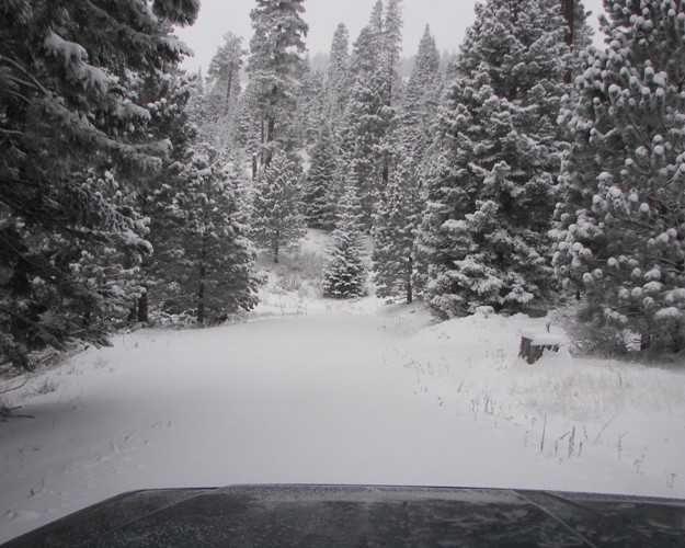 PHOTOS > EWOR: Sledding 4x4 Run at the Ahtanum State Forest 24