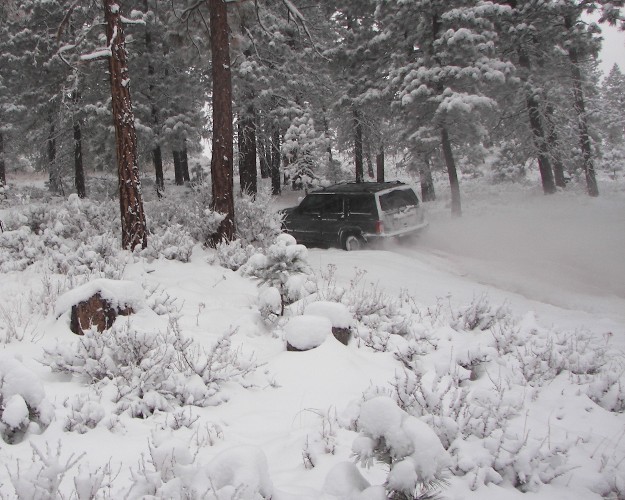 PHOTOS > EWOR: Sledding 4x4 Run at the Ahtanum State Forest 34