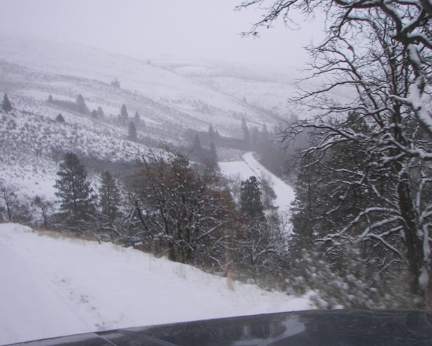 PHOTOS > EWOR: Sledding 4x4 Run at the Ahtanum State Forest 37