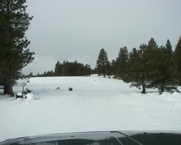 PHOTOS > EWOR: Newbie 4×4 Snow Wheeling at Ahtanum State Forest 6