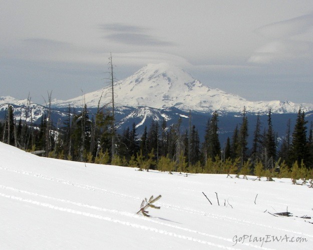 PHOTOS > EWOR: Spring Snow Wheeling at the Ahtanum State Forest 26