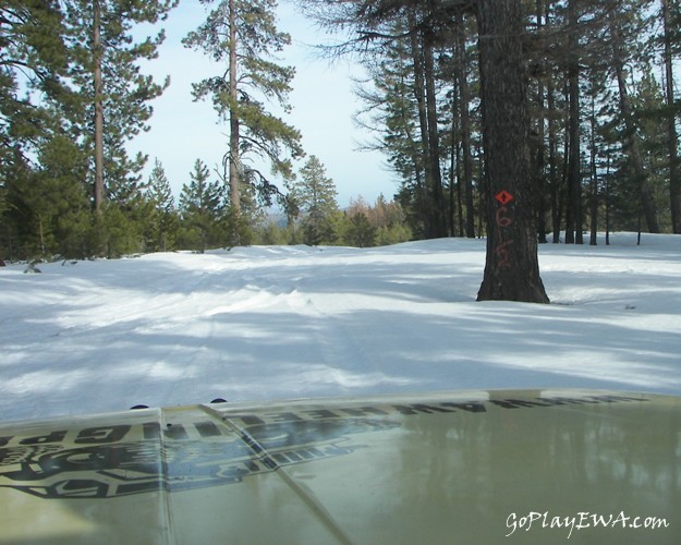 PHOTOS > EWOR: Spring Snow Wheeling at the Ahtanum State Forest 58