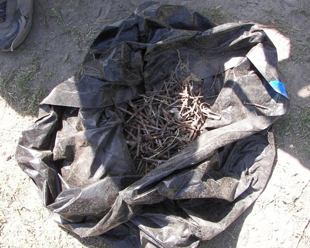 Photos: 2009 Beverly Dunes Clean-up 2