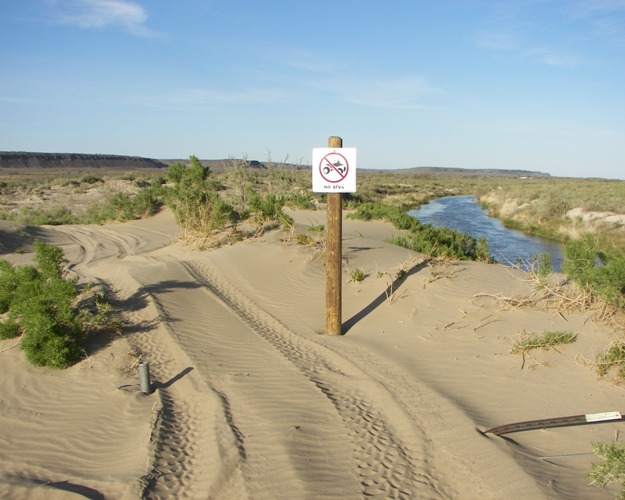 Photos: 2009 Beverly Dunes Clean-up 5