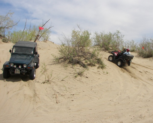 Photos: 2009 Beverly Dunes Clean-up 53