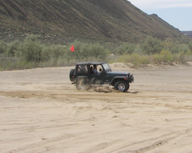 Photos: 2009 Beverly Dunes Clean-up 59