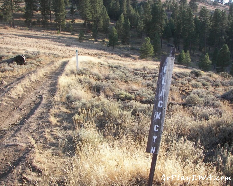 Wenas Wildlife Area Exploring Run (Part II) – Sept 13 2009 10