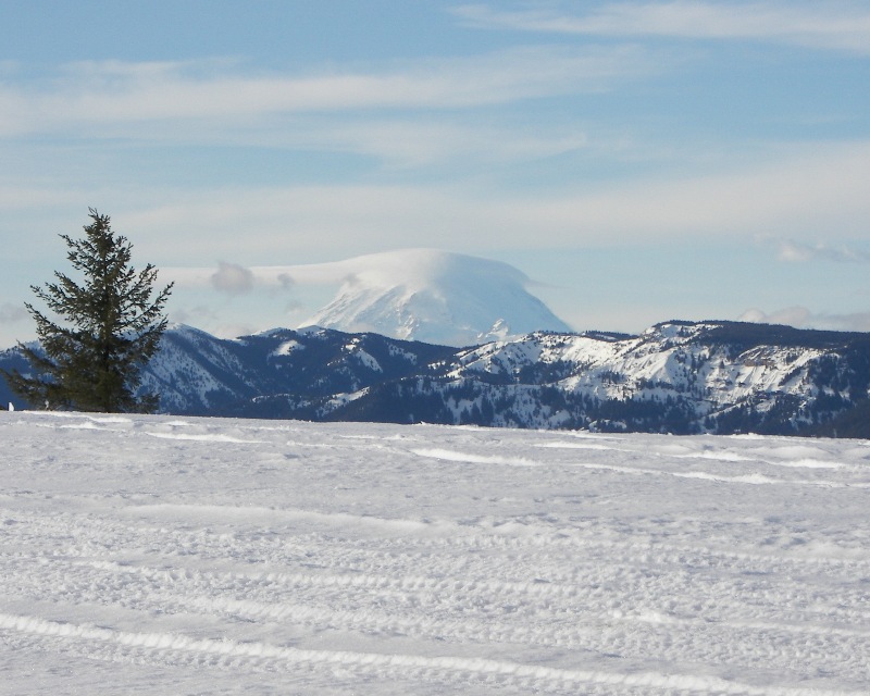 Ahtanum State Forest