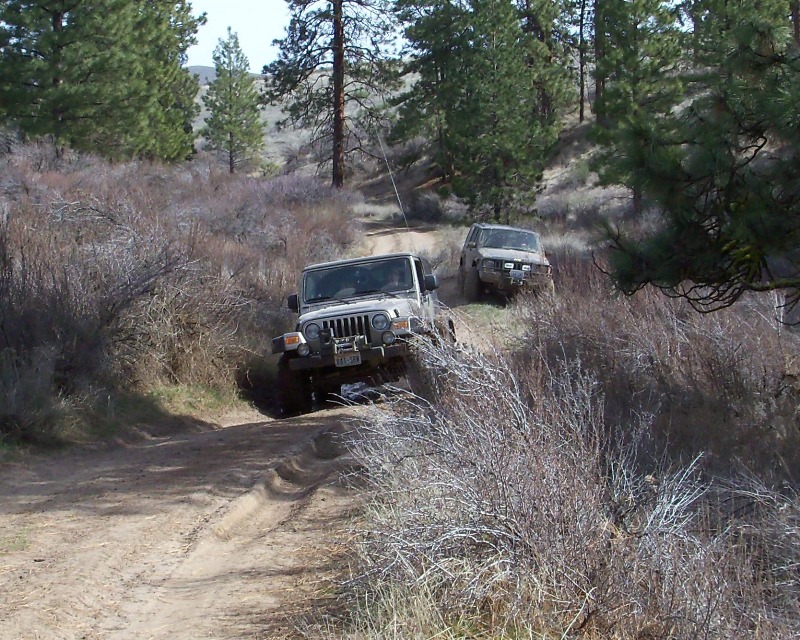 Spring Fever Run at the Wenas Wildlife Area – Mar 20 2010 32