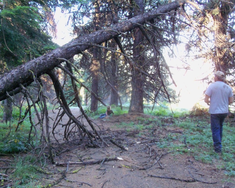 Photos: EWOR Ahtanum ORV Trail Maintenance Camp-out 46