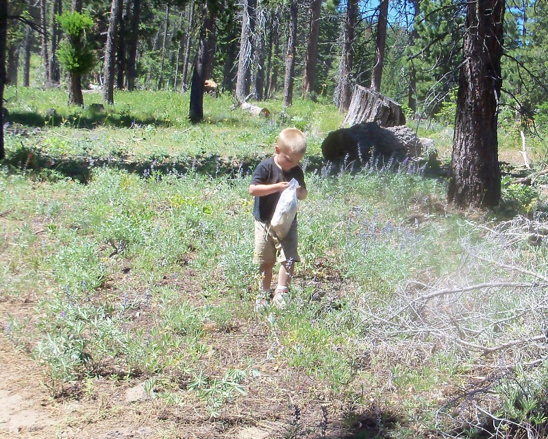 Photos: 2010 Ahtanum ORV Trails Clean-up 5