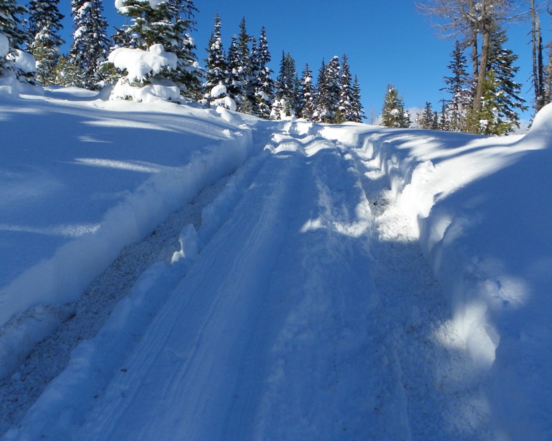 PHOTOS > EWOR: Thanksgiving 4x4 Run at the Ahtanum State Forest 35