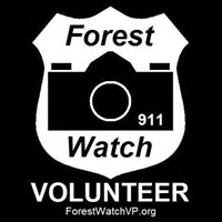 Forest Watch