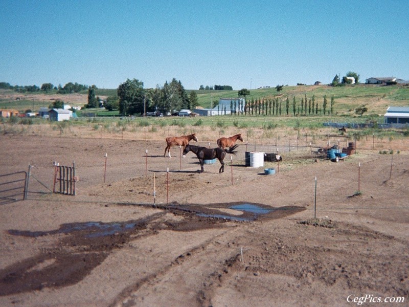 Ceg Ranch