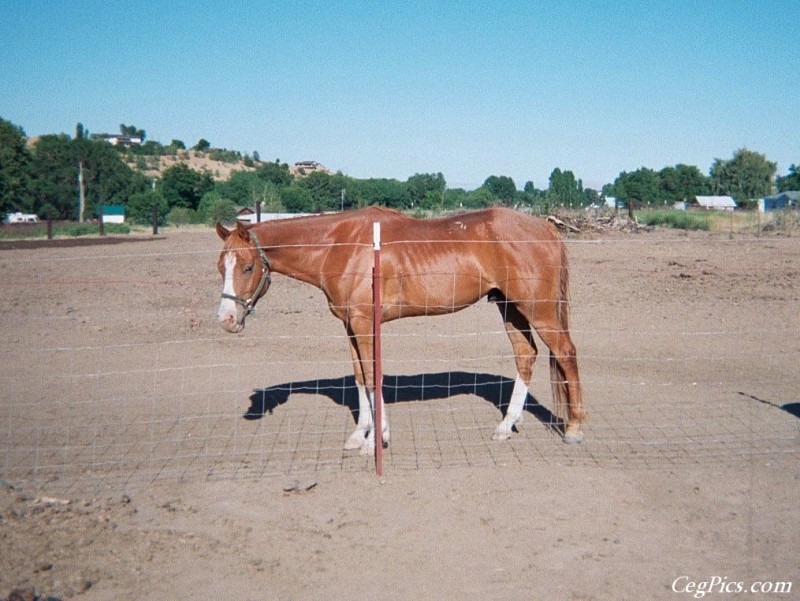 Ceg Ranch