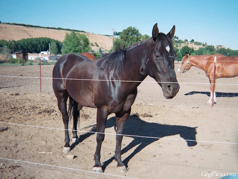 Ceg Ranch