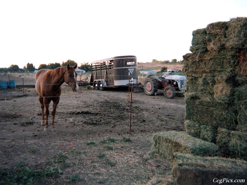 Ceg Ranch