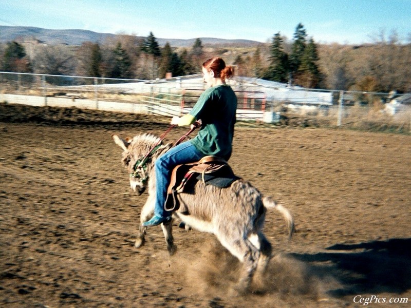 Ceg Ranch - Field of Dreams Area