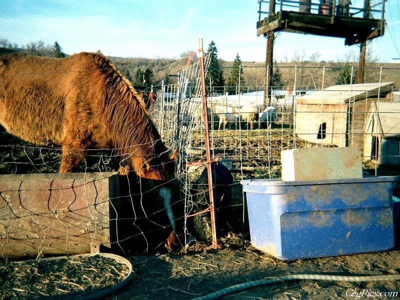 Ceg Ranch - Field of Dreams Area