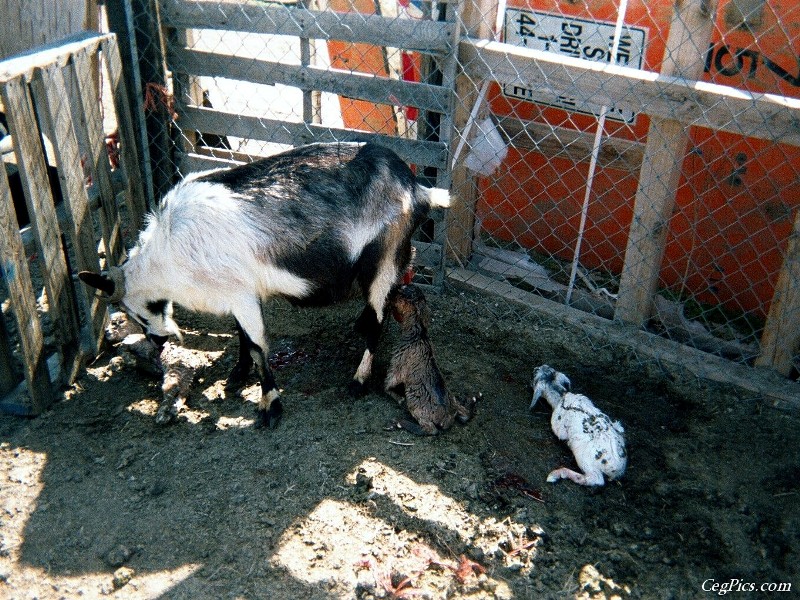 Ceg Ranch - Field of Dreams Area