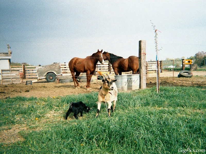 Ceg Ranch - Field of Dreams Area