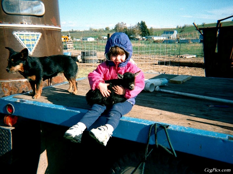 Ceg Ranch - Field of Dreams Area