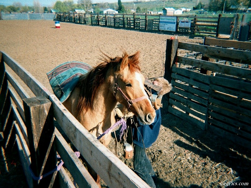 Ceg Ranch - Field of Dreams Area