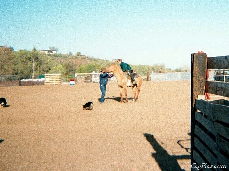 Ceg Ranch - Field of Dreams Area