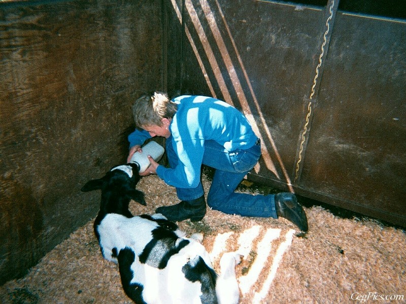 Ceg Ranch - Field of Dreams Area