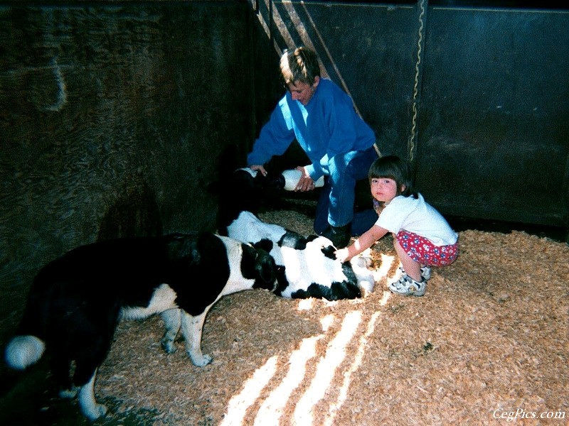 Ceg Ranch - Field of Dreams Area