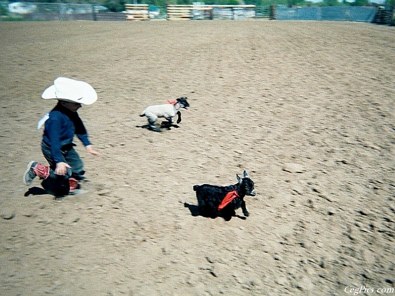 Ceg Ranch - Field of Dreams Area