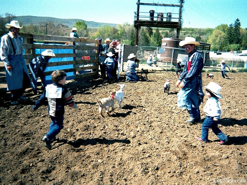 Ceg Ranch - Field of Dreams Area