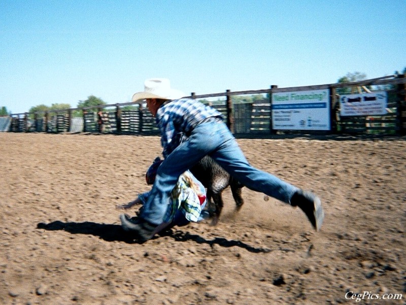 Ceg Ranch - Field of Dreams Area