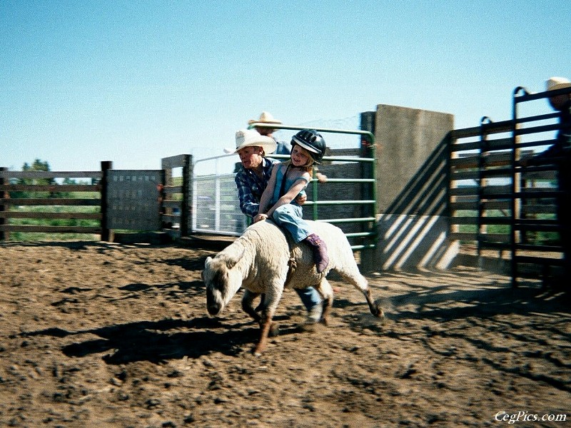 Ceg Ranch - Field of Dreams Area