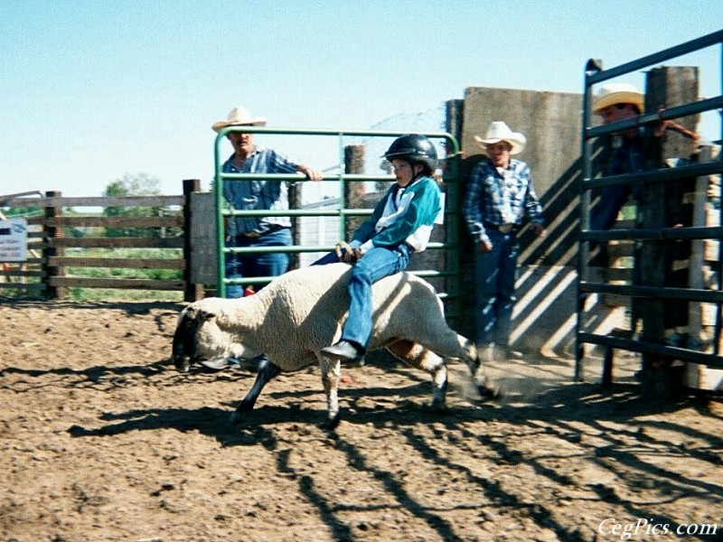 Ceg Ranch - Field of Dreams Area