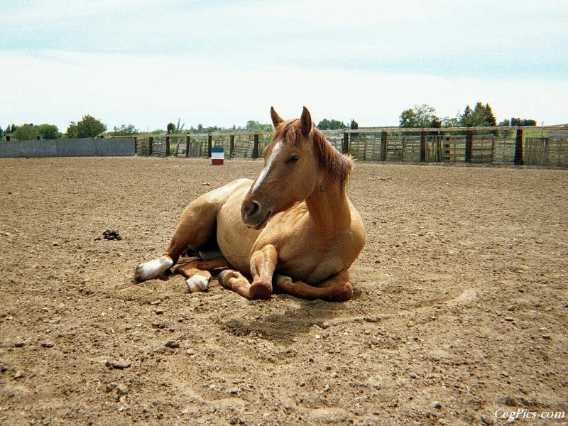 Ceg Ranch - Field of Dreams Area