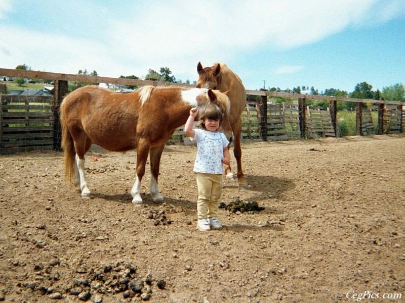 Ceg Ranch - Field of Dreams Area