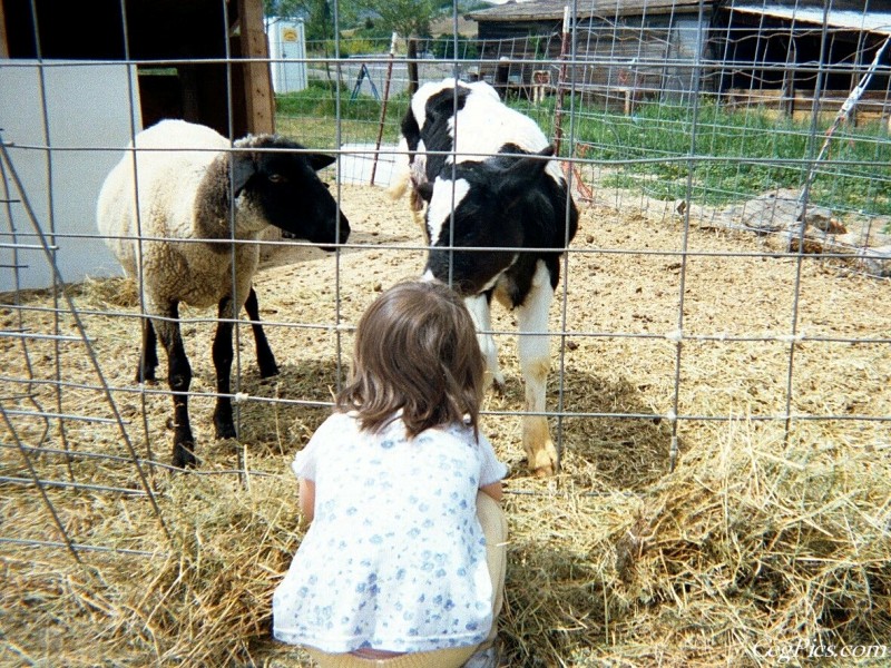 Ceg Ranch - Field of Dreams Area