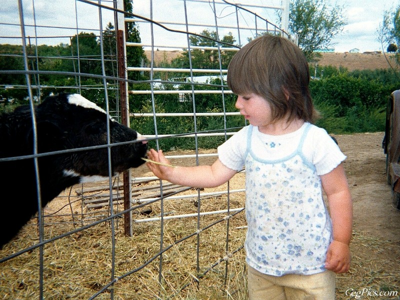 Ceg Ranch - Field of Dreams Area