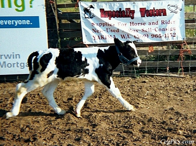 Ceg Ranch - Field of Dreams Area