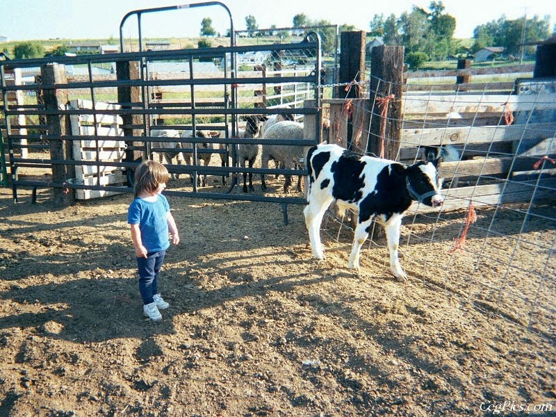 Ceg Ranch - Field of Dreams Area