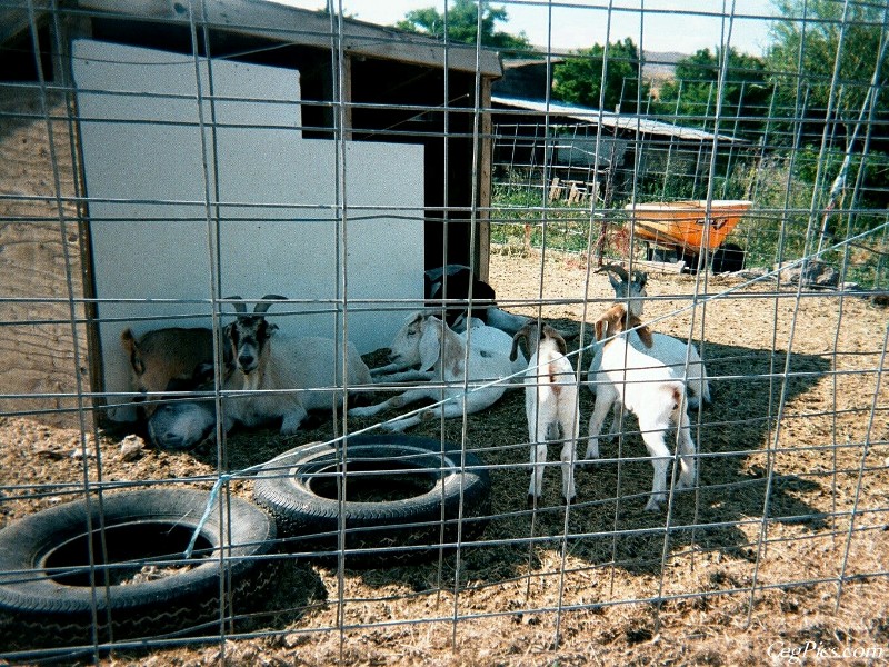 Ceg Ranch - Field of Dreams Area