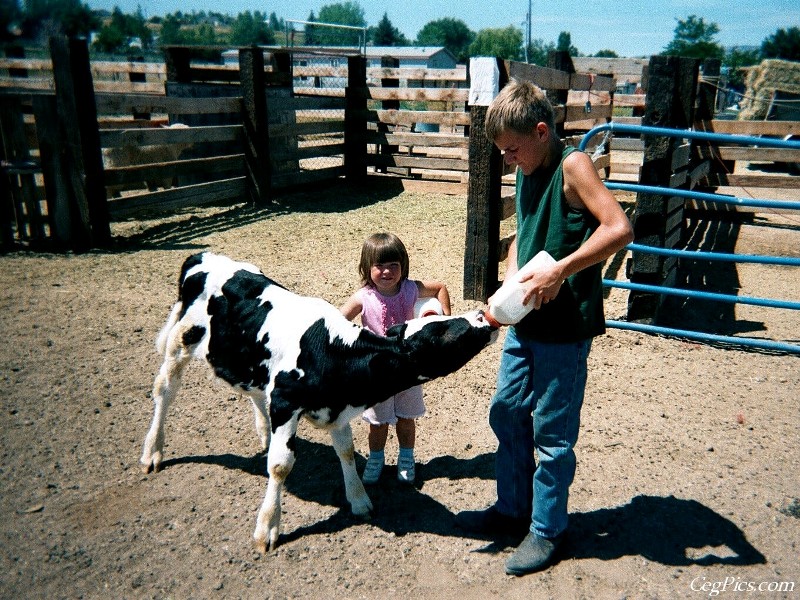 Ceg Ranch - Field of Dreams Area